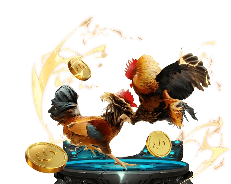 Nền tảng cá cược trực tuyến 555win đáng tin cậy